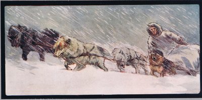 哈士奇拉雪橇，格拉迪斯·戴维森 (Gladys Davidson) 的《Helpers Without Hands》插图，1919 年出版（彩色平版印刷） 作者 约翰·埃德温·诺布尔