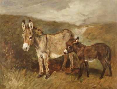 驴子出现在摩尔人身上，1890年 作者 John Emms