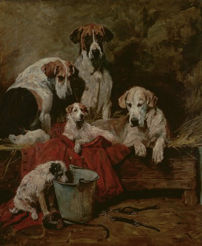 犬舍同伴 作者 约翰·艾姆斯