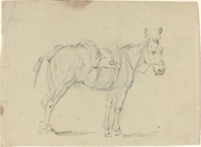 驴子伸展后腿 作者 约翰·弗拉克斯曼