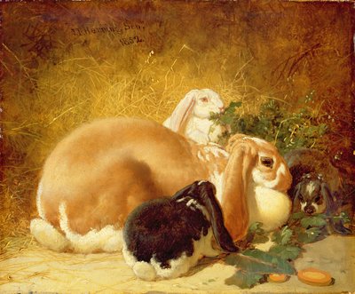 兔子，1852年 作者 约翰·弗雷德里克·鲱鱼少年