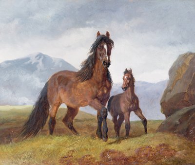 威尔士山脉母马和小马驹，1854年（小组） 作者 老约翰弗雷德里克鲱鱼