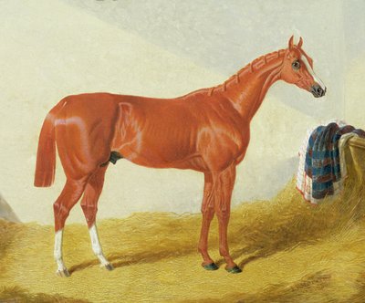 伊利斯，1836年 作者 老约翰弗雷德里克鲱鱼