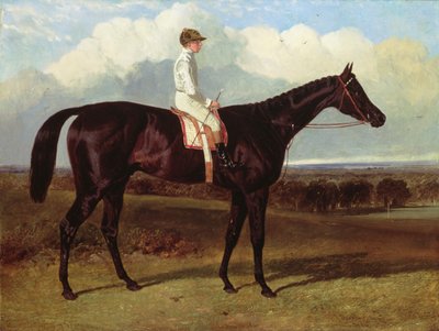 Jonathan Wild是一个黑暗的海湾赛马，在Goodwood，T.Ryder，1846年 作者 老约翰弗雷德里克鲱鱼