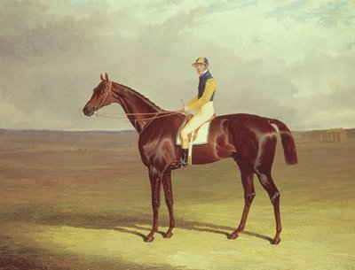 M. Stanleys Crutch先生在Newmarket Heath，1833年 作者 老约翰弗雷德里克鲱鱼