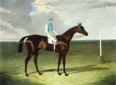 夫人Ridsdale和Gully的St. Giles与William Scott一起，1832年 作者 老约翰弗雷德里克鲱鱼