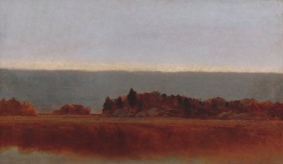 1872年10月，盐草甸。 作者 约翰·弗雷德里克·肯塞特