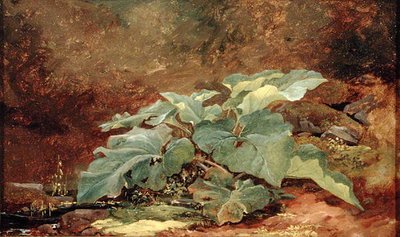 牛蒡植物研究》（纸上油画，裱在画布上） 作者 约翰·弗雷德里克·肯塞特