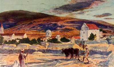 加利利（Cali）加纳（Cana），1902年。 作者 约翰·富利洛夫