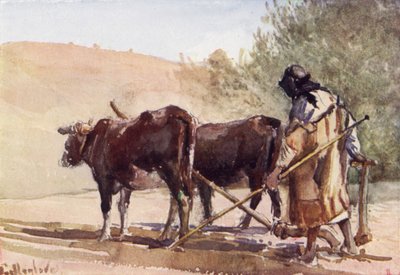 Ploughing on the Mount of Olives (colour litho) 作者 约翰·富利洛夫
