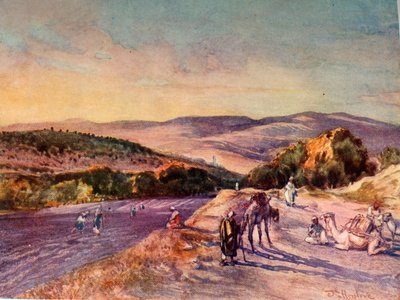 撒马利亚古城遗址，1902年。 作者 约翰·富利洛夫