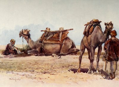 骆驼和乘务员研究，1902年。 作者 约翰·富利洛夫