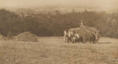 装载干草，1890-1900 年（照片） 作者 约翰·G·布洛克