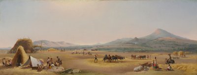 1868年在罗马坎帕尼亚收获。 作者 约翰·盖茨比·查普曼