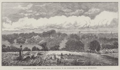 在Herne Hill和Dulwich附近的Brockwell公园将被购买用于公共娱乐 作者 约翰·吉尔伯特