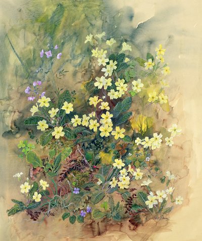 报春花银行 作者 John Gubbins