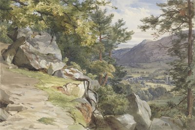 Craig-y-Barns，Dunkeld，南望，1855年的视图（wc和纸张上的bodycolour） 作者 约翰·亨利·摩尔