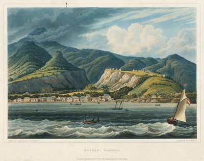 罗索市，多米尼克（加勒比海）。石版画（32.2x46.6 厘米），约翰-赫伯特-卡迪中尉（1801-1883 年） 作者 约翰·赫伯特·凯迪