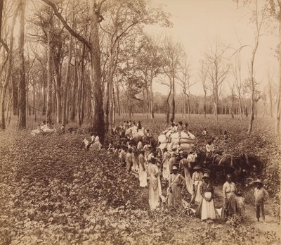 12点钟的死气沉沉，约1891年。 作者 约翰霍根
