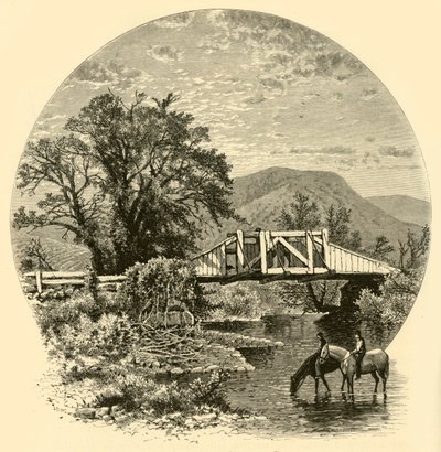 迦南附近黑莓河的老桥》，1874年。   作者 约翰·J·哈雷