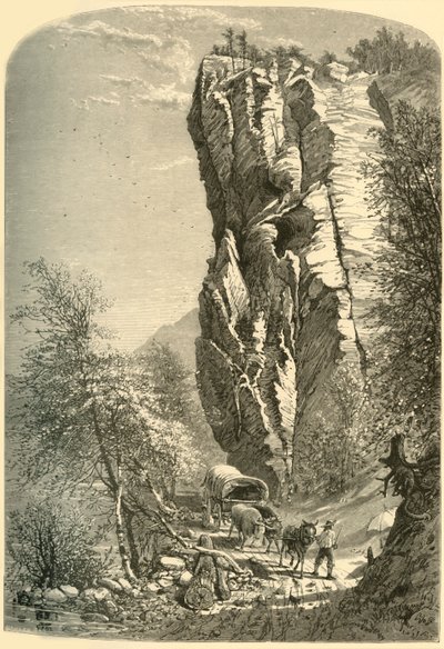 恋人的飞跃--在清晨的阳光下》，1872年。 作者 约翰·J·哈雷