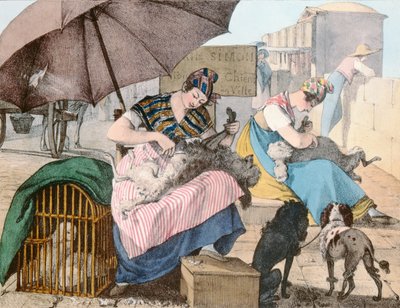 The Dog Groomers，1820 作者 约翰·詹姆斯·沙隆