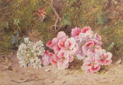 蝴蝶与花朵 作者 John Jessop Hardwick