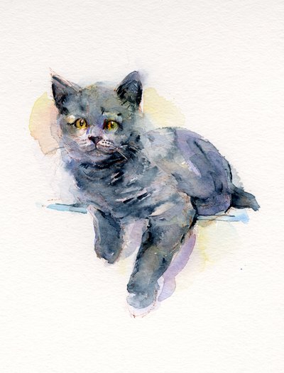 灰色小猫，2017，（水彩） 作者 John Keeling