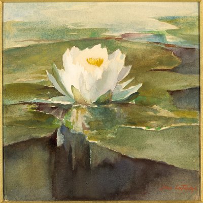 阳光下的睡莲 作者 约翰·拉法格