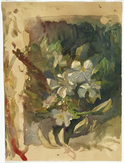 阳光下的苹果花（纸上的wc） 作者 John La Farge或Lafarge