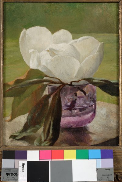 玉兰花 作者 John La Farge或Lafarge