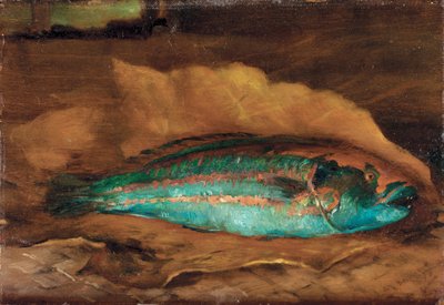 对鹦鹉鱼的研究，萨摩亚，1890年 作者 John La Farge或Lafarge