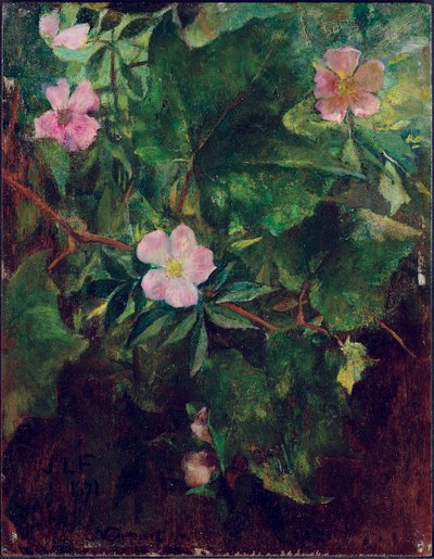 《野玫瑰与葡萄树》，《自然研究》，1871年 作者 John La Farge或Lafarge