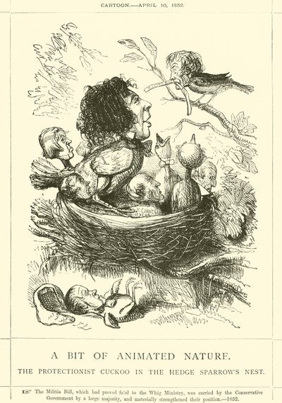 一点动画自然，对冲麻雀巢中的保护主义者杜鹃 作者 John Leech