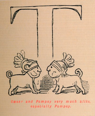 凯撒和庞培非常相似，尤其是庞培，1852年 作者 约翰·里奇