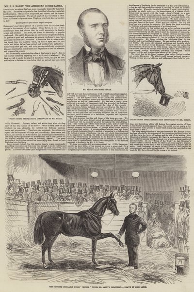 JS Rarey先生，美国驯马师 作者 John Leech