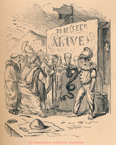大使购买Aesculaplus，1852年 作者 约翰·里奇