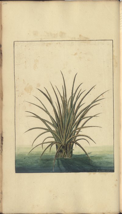 Tsamba lochokera ku 