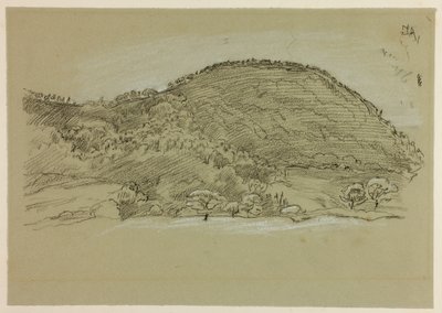 漫步田野 作者 约翰·林内尔