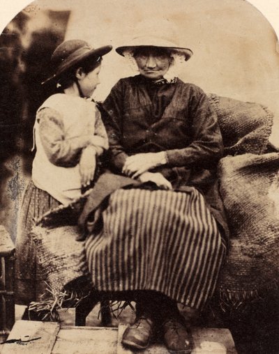 北威尔士科文Rhagatt的仆人，约1860年。 作者 约翰·劳埃德