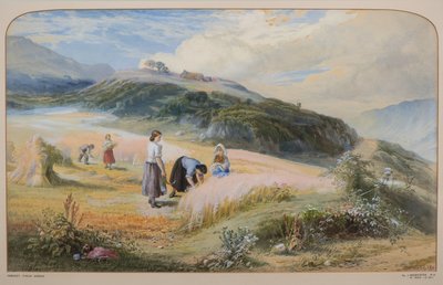 Harvest Field, Arran 作者 约翰·麦克维尔特
