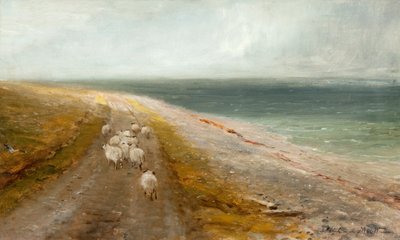 流浪羊 作者 约翰·麦克维尔特