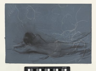 仙女座（素描） 作者 约翰麦卡伦天鹅