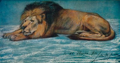 狮子的粉彩研究，c1900 作者 John Macallan Swan
