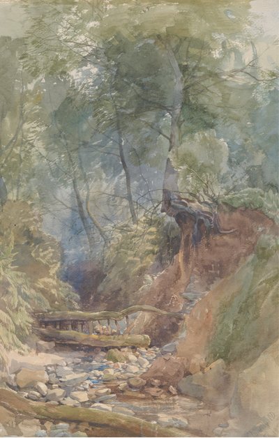 北德文郡克洛维利附近的一条溪流，1850年。 作者 约翰·米德尔顿