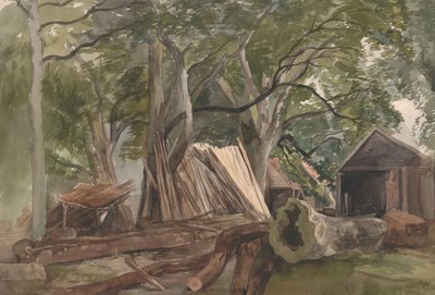 用伐木厂开荒，1847年。 作者 约翰·米德尔顿