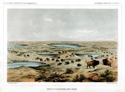 1856年，美国北达科他州杰西湖附近的野牛牧群。 作者 约翰·史密斯（John Mix Stanley）