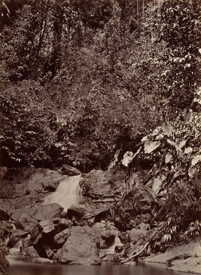 热带风光，卡斯特，利蒙河，1871年。 作者 约翰·莫兰