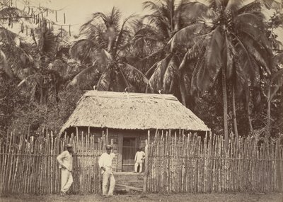 热带风光，本土小屋，特步，1871年。 作者 约翰·莫兰