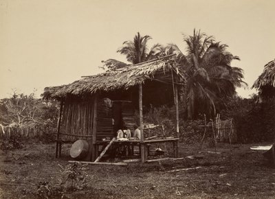 热带风光，本土小屋，特步，1871年。 作者 约翰·莫兰